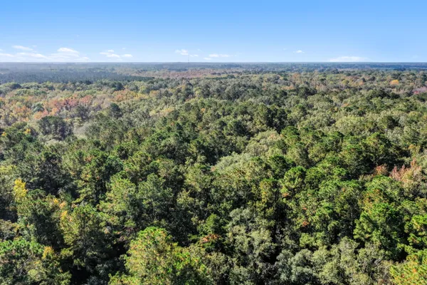$2,945,000 | 527-acres Spring Grove Road, Adams Run, SC 29426