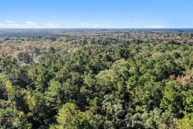 $2,945,000 | 527-acres Spring Grove Road, Adams Run, SC 29426