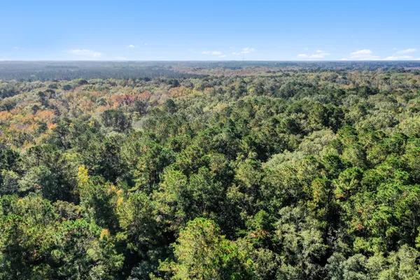 $2,945,000 | 527-acres Spring Grove Road, Adams Run, SC 29426