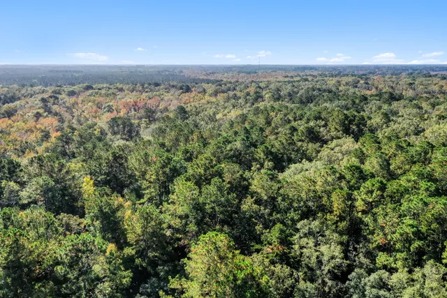 $2,945,000 | 527-acres Spring Grove Road, Adams Run, SC 29426