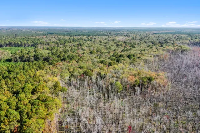 $2,945,000 | 527-acres Spring Grove Road, Adams Run, SC 29426