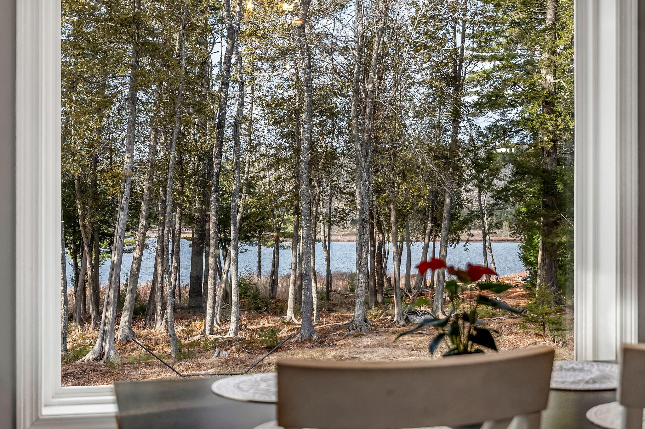 87 Lord Avenue Surry, ME 04684 - Photo 6 of 60 Water Views