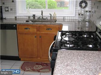 3970 Pine Road Huntingdon Valley, PA 19006 - Photo 9 of 12 Kitchen