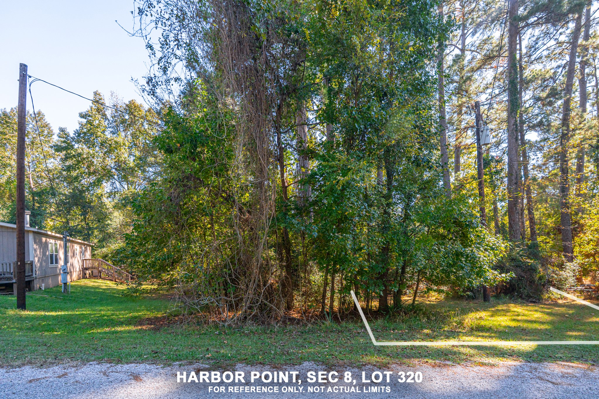 0 Harbor Point Trinity, TX 75862 - Photo 4 of 15 a view of a yard with plants and trees