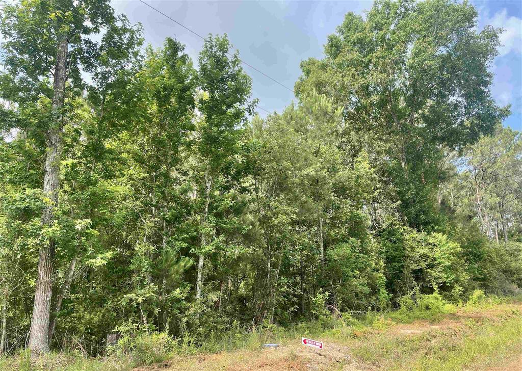 0 Ernie Cole Road Ragley, LA 70657 - Photo 11 of 12