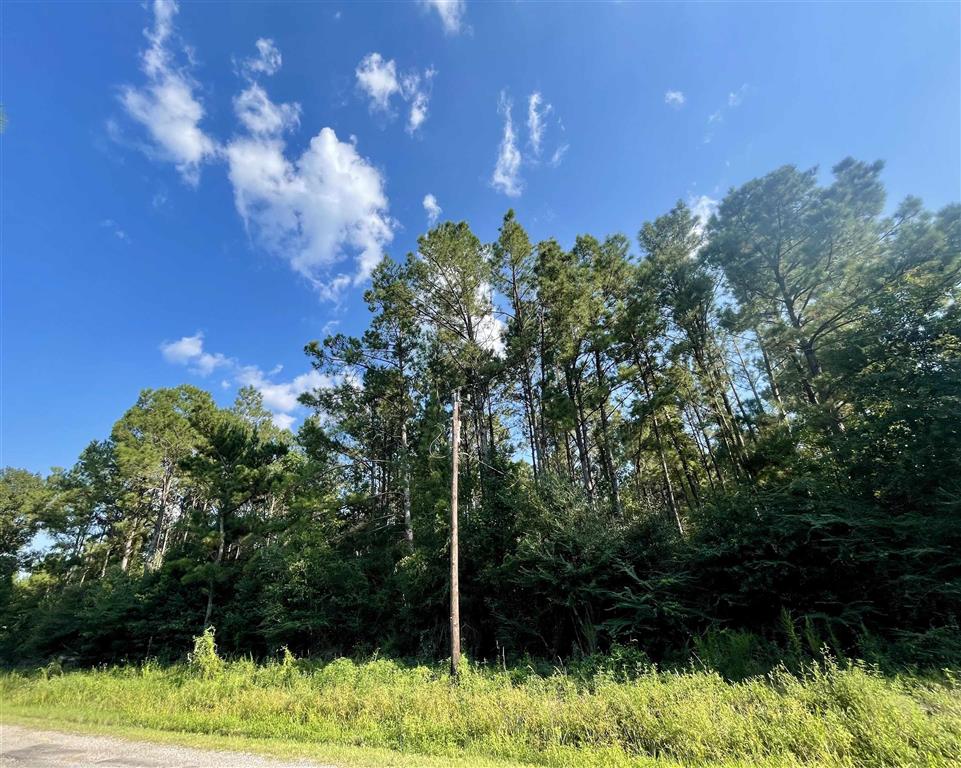 0 Ernie Cole Road Ragley, LA 70657 - Photo 2 of 12