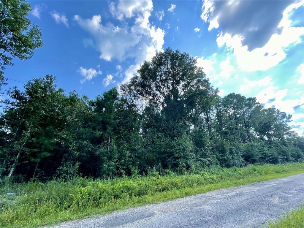 0 Ernie Cole Road Ragley, LA 70657 - Photo 3 of 12