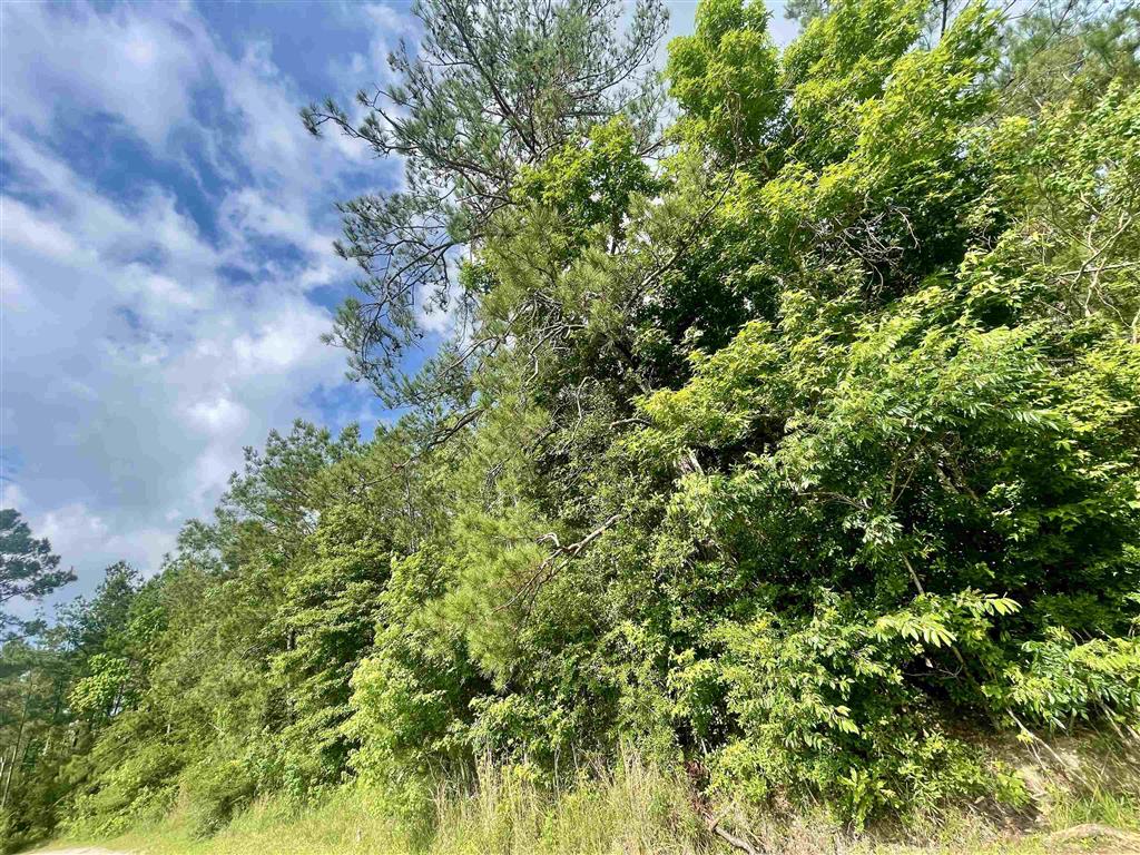 0 Ernie Cole Road Ragley, LA 70657 - Photo 4 of 12