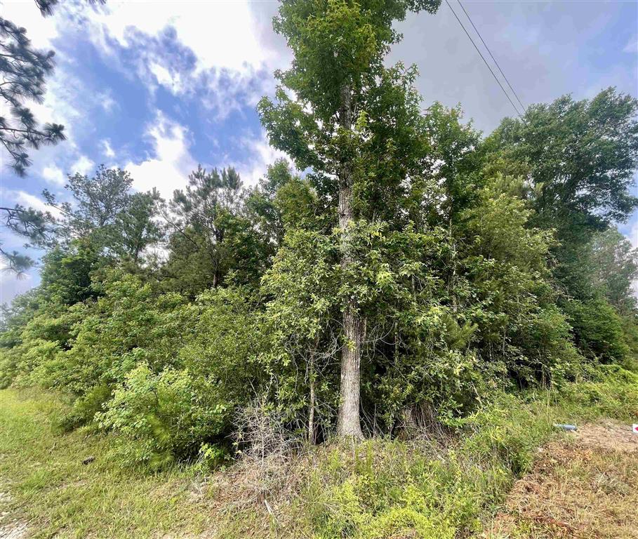 0 Ernie Cole Road Ragley, LA 70657 - Photo 5 of 12