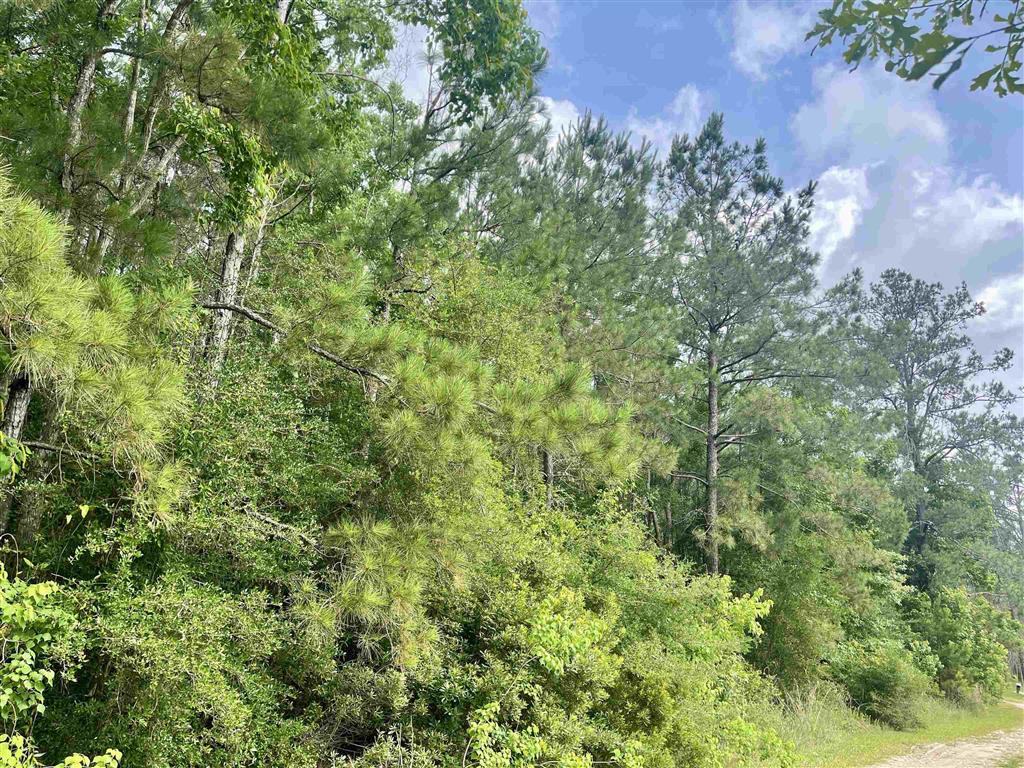 0 Ernie Cole Road Ragley, LA 70657 - Photo 7 of 12