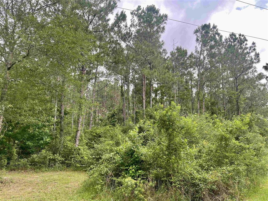 0 Ernie Cole Road Ragley, LA 70657 - Photo 8 of 12