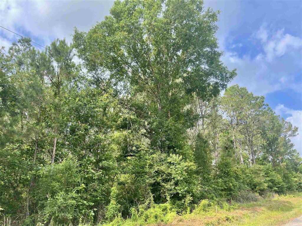 0 Ernie Cole Road Ragley, LA 70657 - Photo 10 of 12