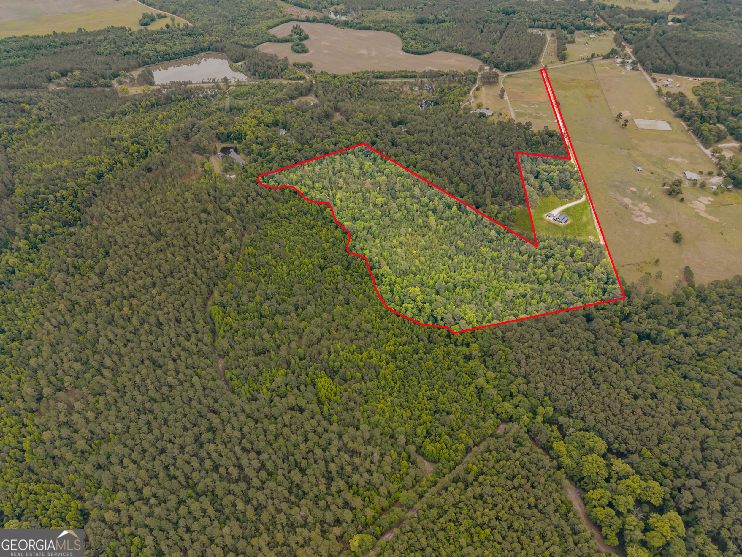 2973 Buttermilk Road Sylvania, GA 30467 - Photo 3 of 48