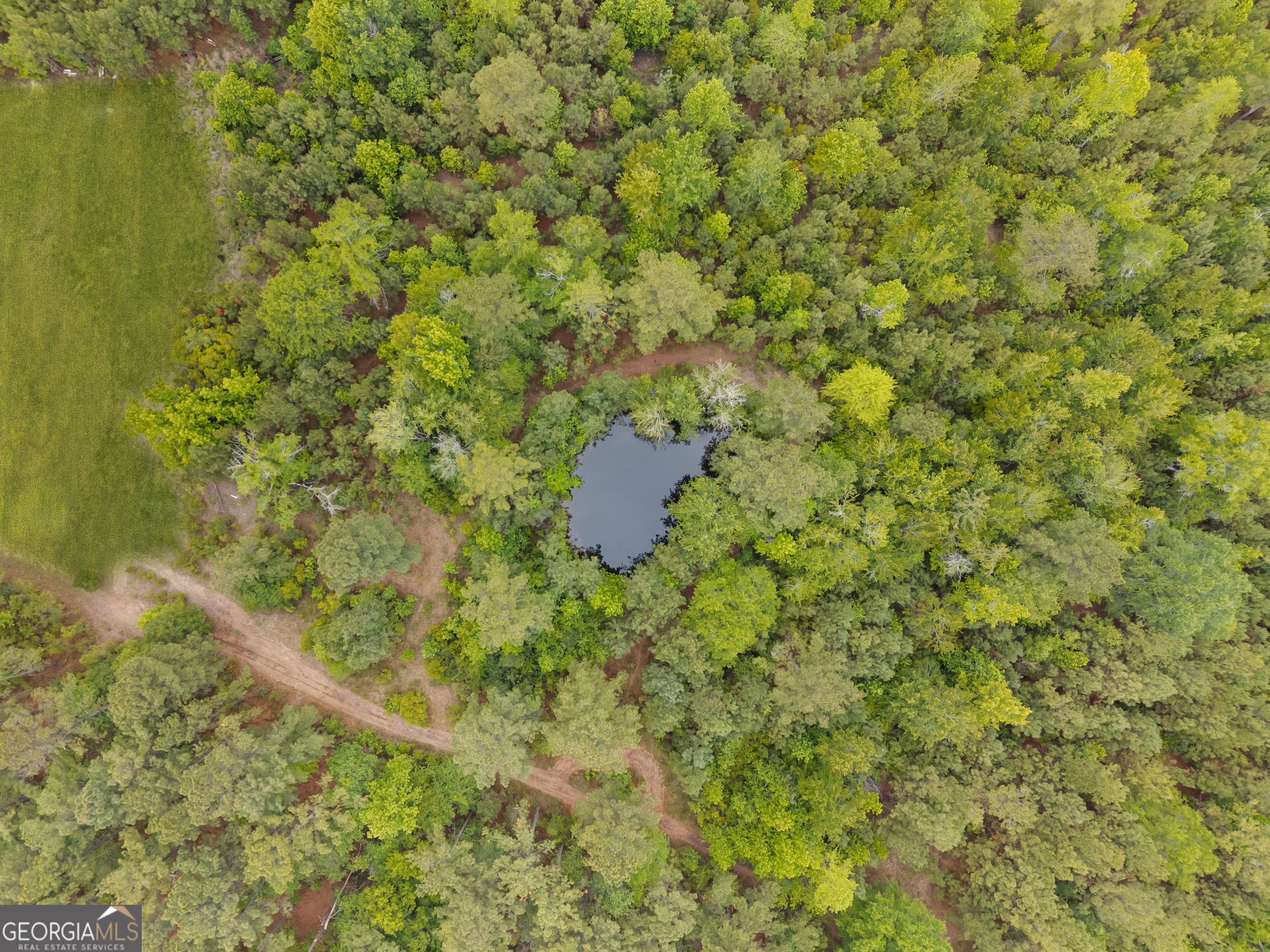 2973 Buttermilk Road Sylvania, GA 30467 - Photo 44 of 48 a view of a forest with a house