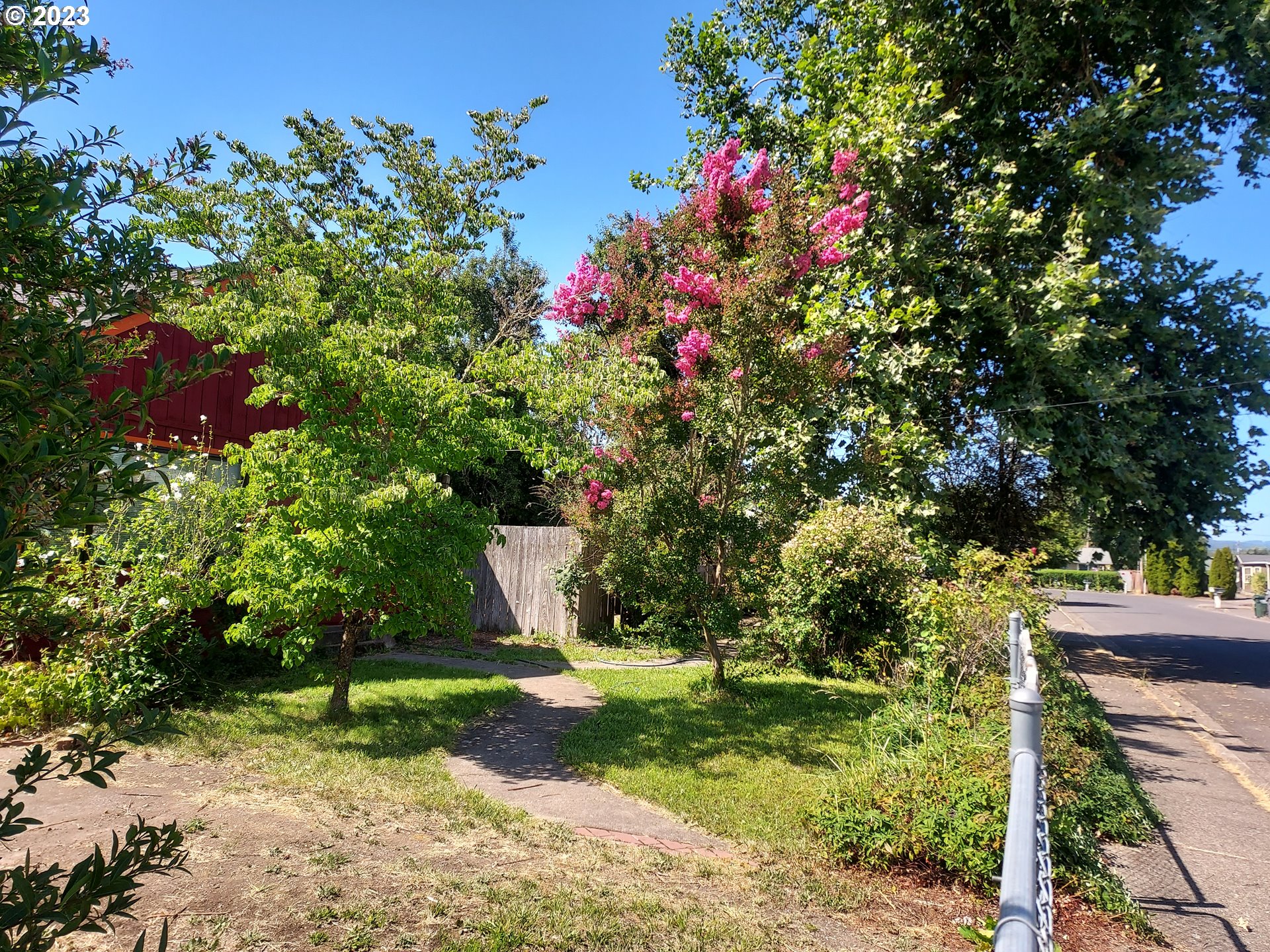460 37th Street Springfield, OR 97478 - Photo 20 of 21 a view of a tree with a yard