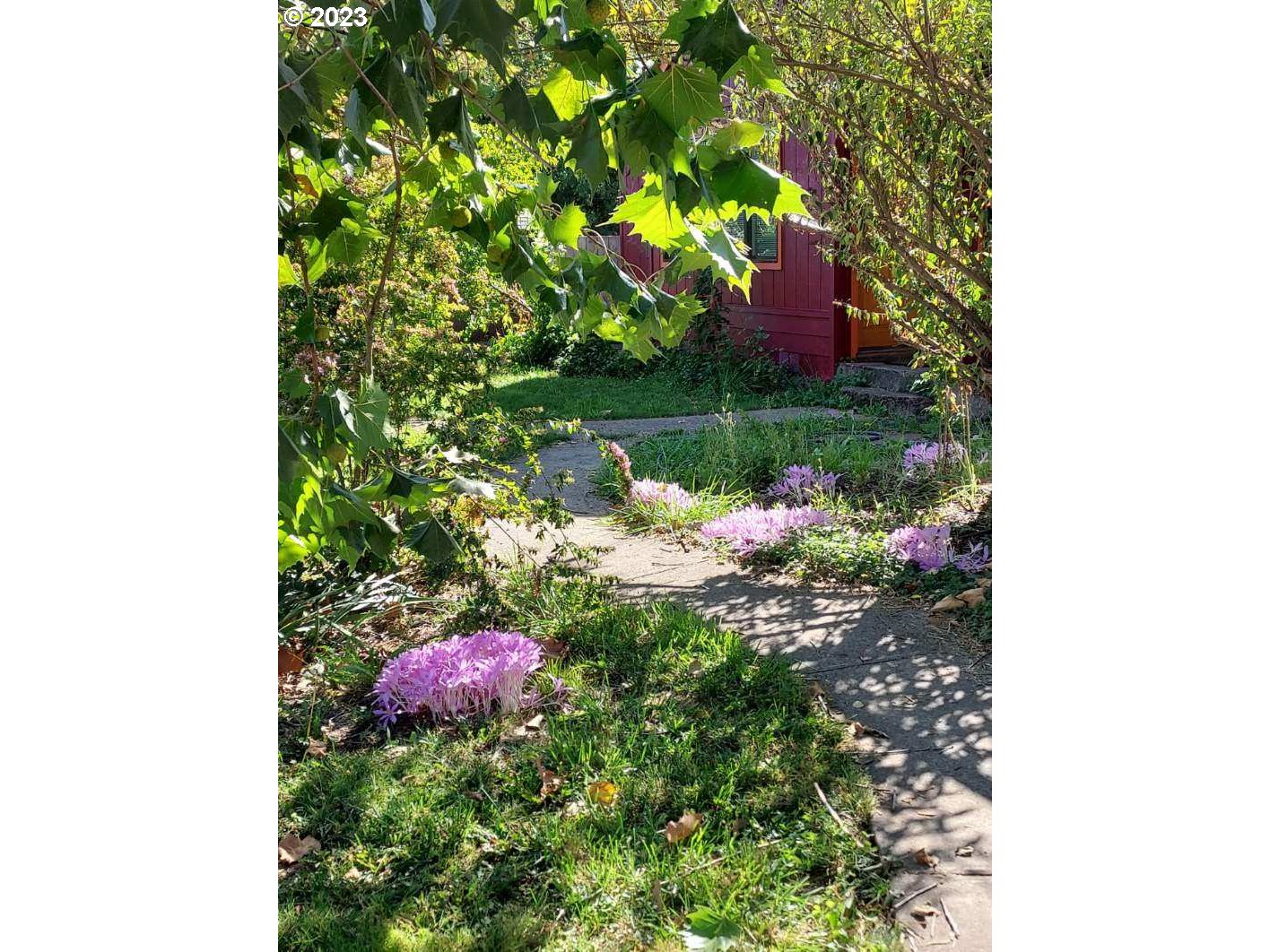 460 37th Street Springfield, OR 97478 - Photo 2 of 21 a view of a flower in a garden