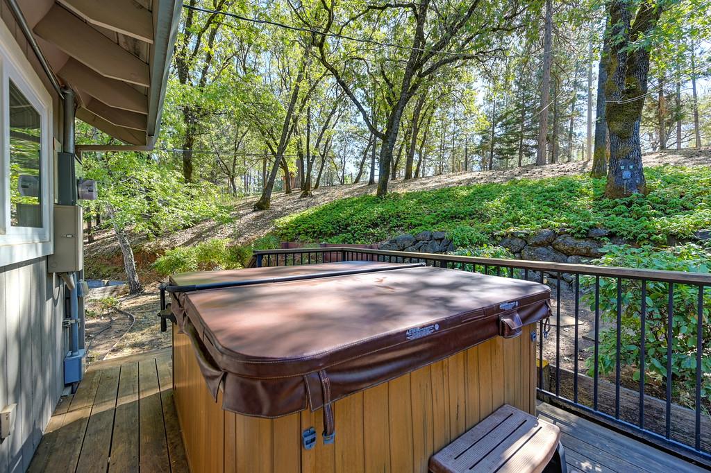 1045 Sierra Dawn Lane Colfax, CA 95713 - Photo 57 of 74