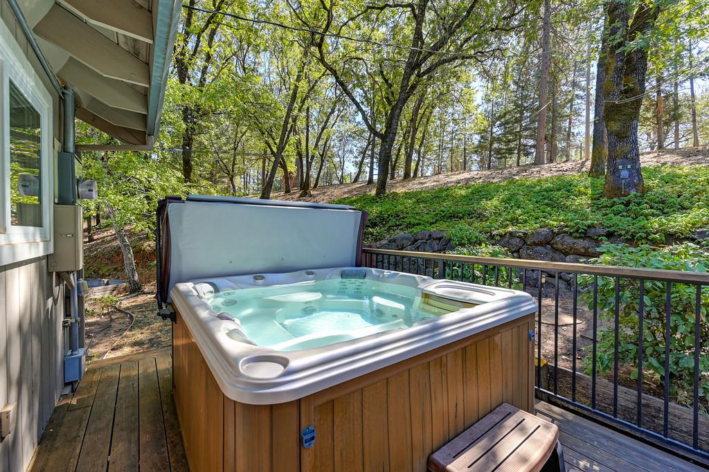 1045 Sierra Dawn Lane Colfax, CA 95713 - Photo 58 of 74