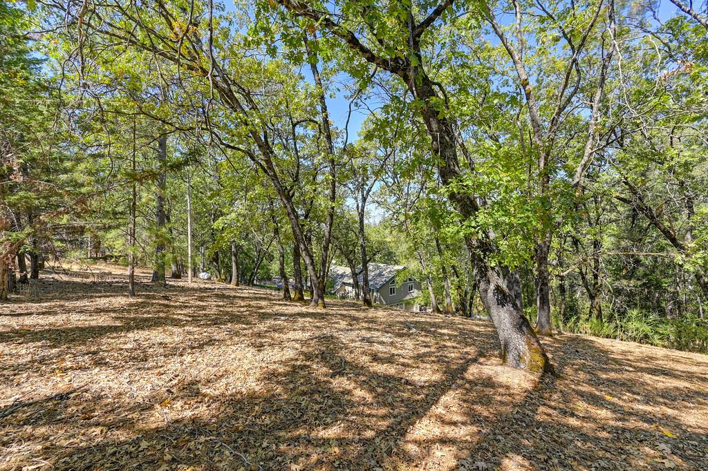 1045 Sierra Dawn Lane Colfax, CA 95713 - Photo 65 of 74