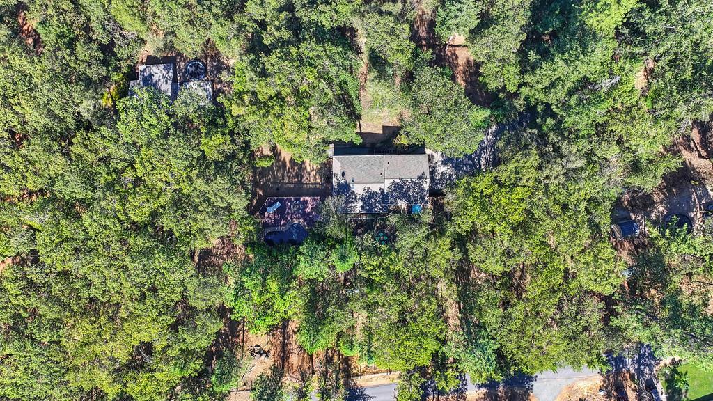 1045 Sierra Dawn Lane Colfax, CA 95713 - Photo 73 of 74