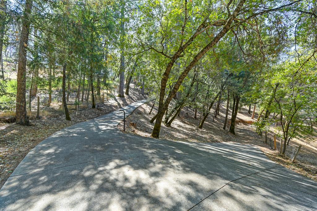 1045 Sierra Dawn Lane Colfax, CA 95713 - Photo 8 of 74