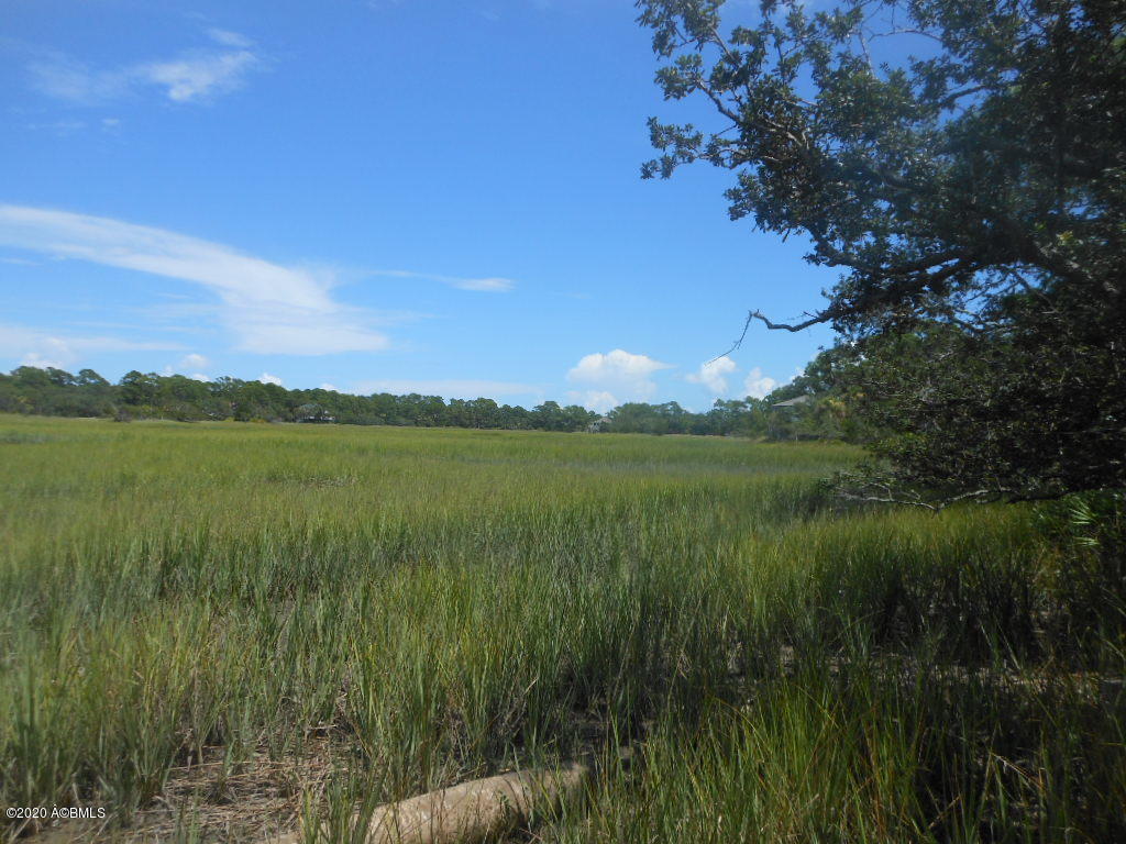 879 Fiddlers Ridge Road Fripp Island, SC 29920 - Photo 12 of 21 Marsh View