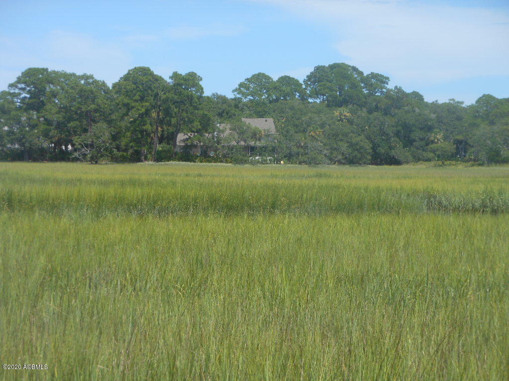 879 Fiddlers Ridge Road Fripp Island, SC 29920 - Photo 13 of 21 View Of Fiddlers