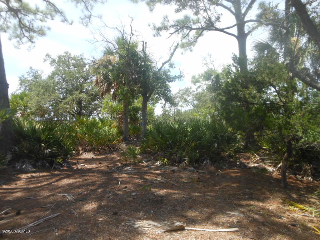 879 Fiddlers Ridge Road Fripp Island, SC 29920 - Photo 15 of 21 Site View