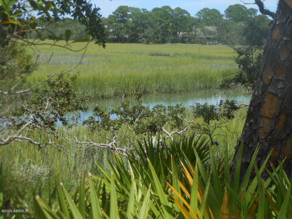 879 Fiddlers Ridge Road Fripp Island, SC 29920 - Photo 9 of 21 View of Creek