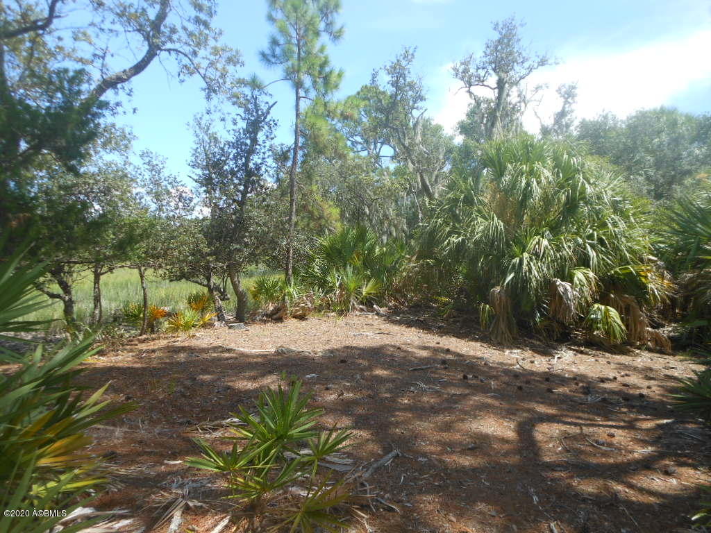 879 Fiddlers Ridge Road Fripp Island, SC 29920 - Photo 10 of 21 Home Site