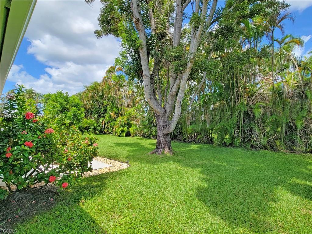 237 Southwest 47th Street Cape Coral, FL 33914 - Photo 49 of 50 a view of a garden with a tree