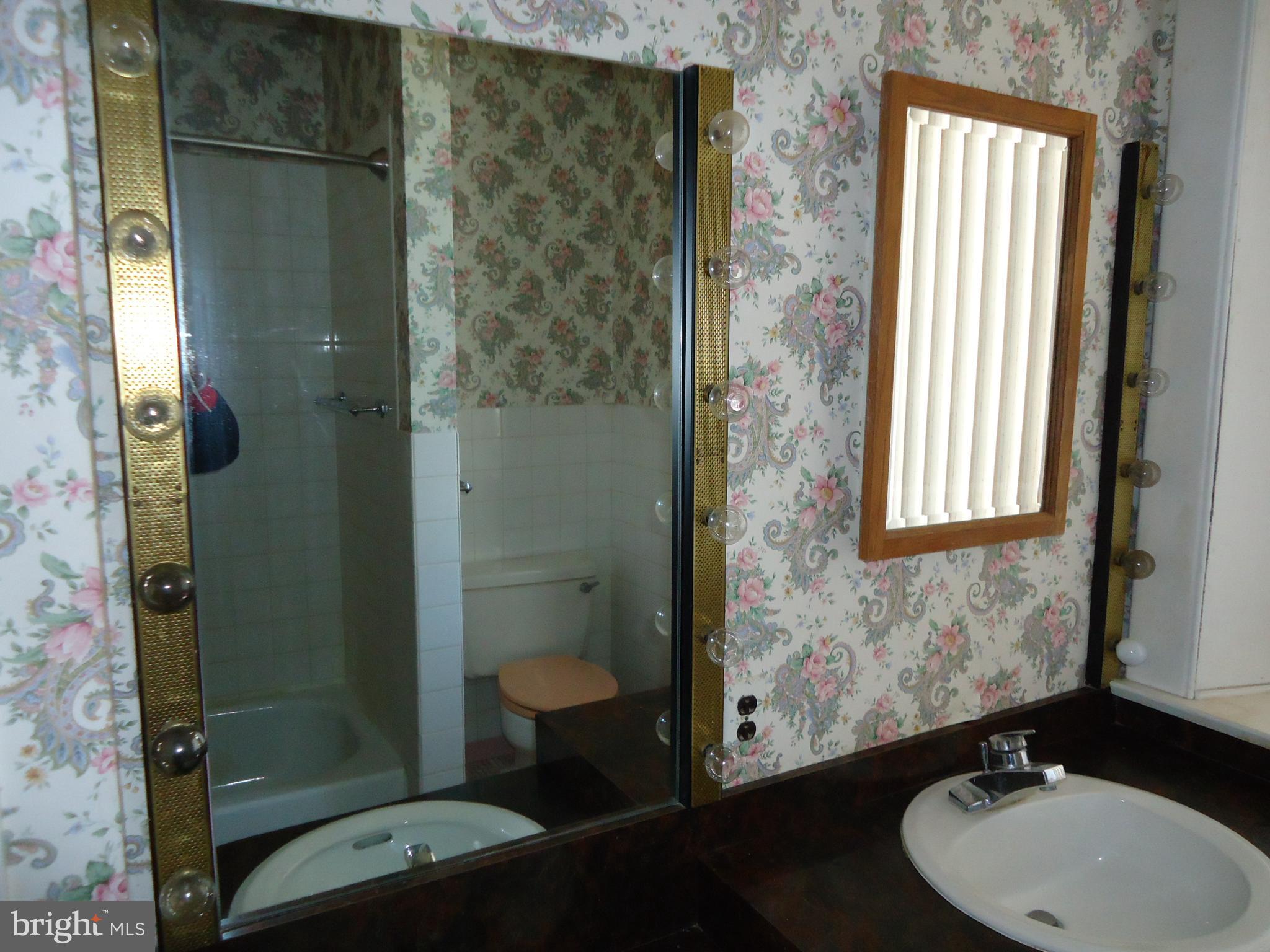 1000 Walnut Avenue Baltimore, MD 21229 - Photo 21 of 52 Main Bathroom