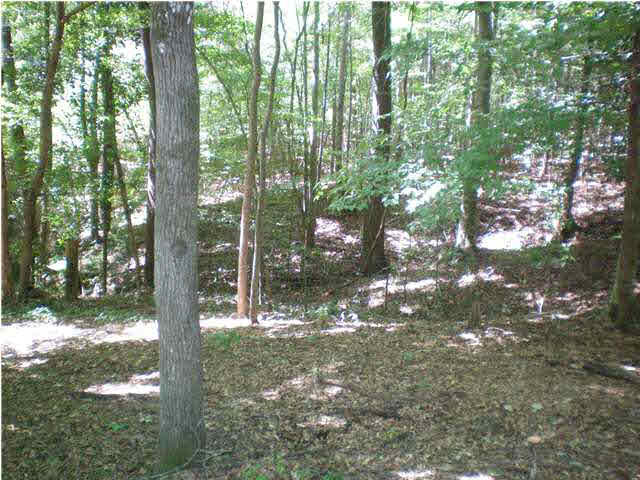 535 Cr 132a Raleigh Ms 39153 Raleigh, MS 39153 - Photo 3 of 6 Photo 3