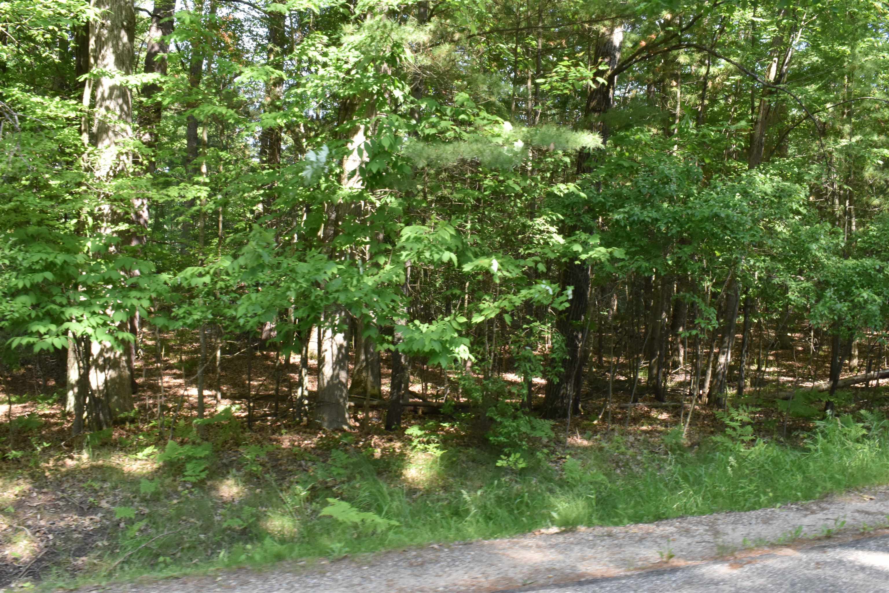 Lot 196 Princess Way Gladwin, MI 48624 - Photo 9 of 12