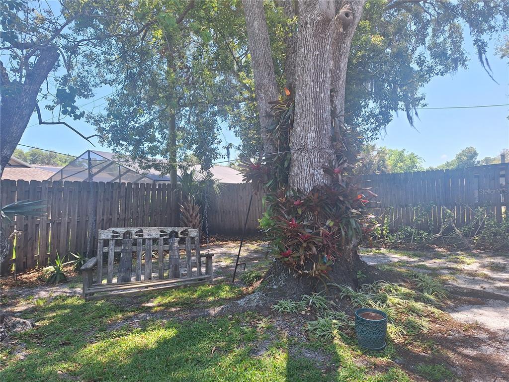 2707 Pine Tree Drive Edgewater, FL 32141 - Photo 27 of 29