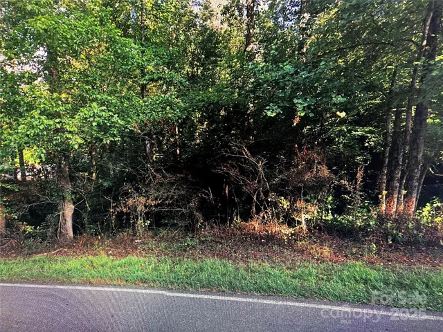 a view of a tree in front of a tree