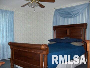 7366 East March Road Woodlawn, IL 62898 - Photo 6 of 17