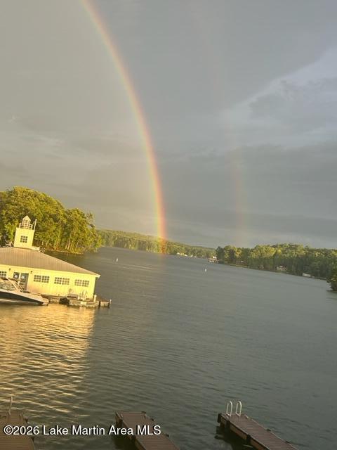 445 Marina Point Road, Unit A105 Dadeville, AL 36853 - Photo 24 of 35 HP rainbow (1)