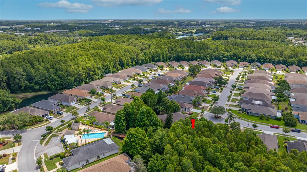 7740 Craighurst Loop Trinity, FL 34655 - Photo 43 of 65