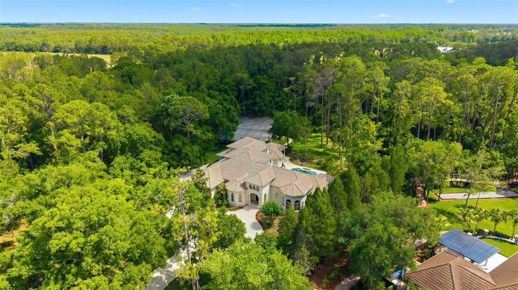18901 Lakes Edge Way Odessa, FL 33556 - Photo 2 of 91