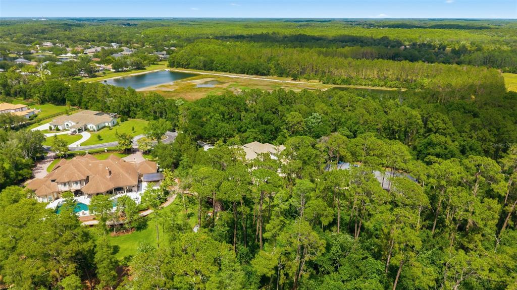 18901 Lakes Edge Way Odessa, FL 33556 - Photo 39 of 91