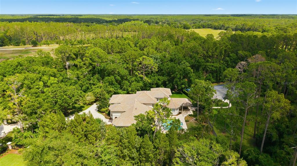 18901 Lakes Edge Way Odessa, FL 33556 - Photo 40 of 91