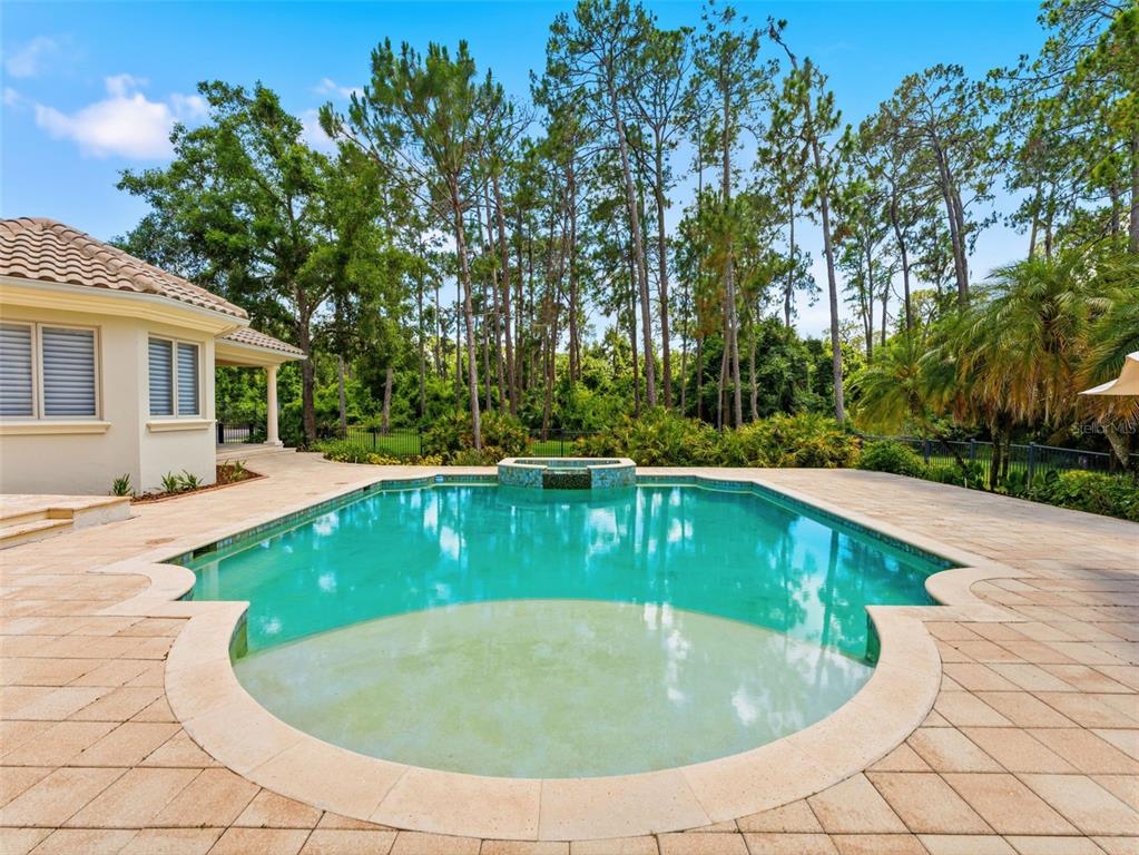 18901 Lakes Edge Way Odessa, FL 33556 - Photo 52 of 91