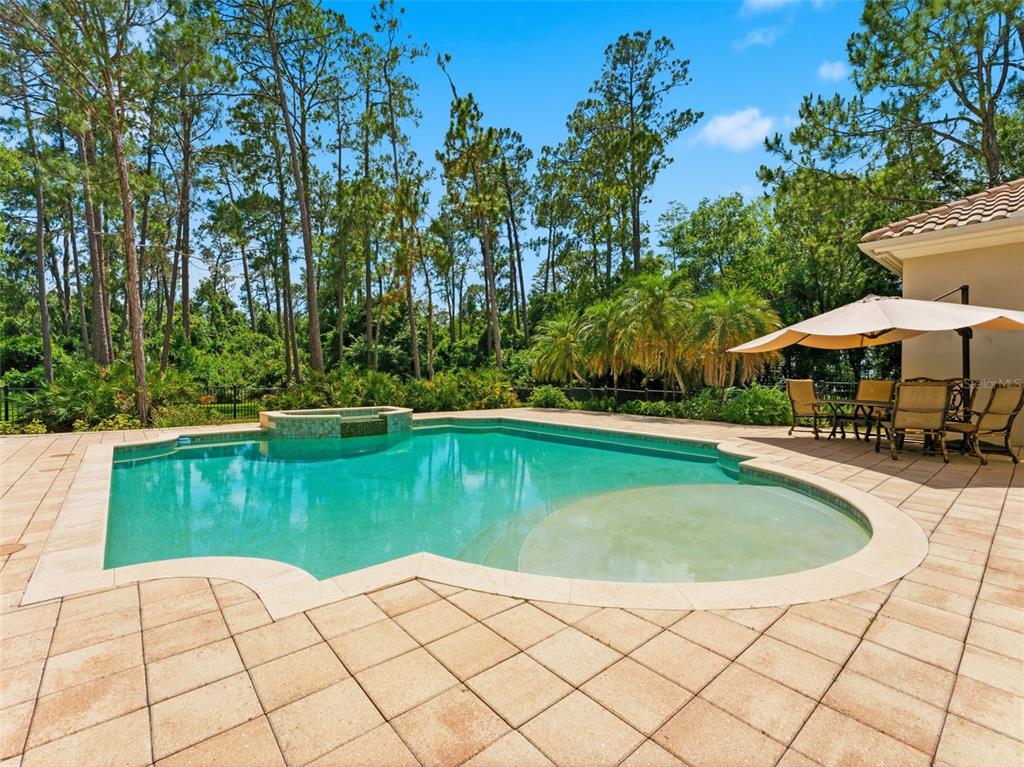 18901 Lakes Edge Way Odessa, FL 33556 - Photo 53 of 91