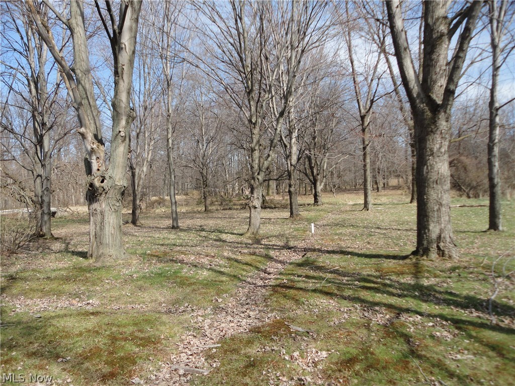 643 Bishop Road Cleveland, OH 44143 - Photo 3 of 3 View of the Backyard