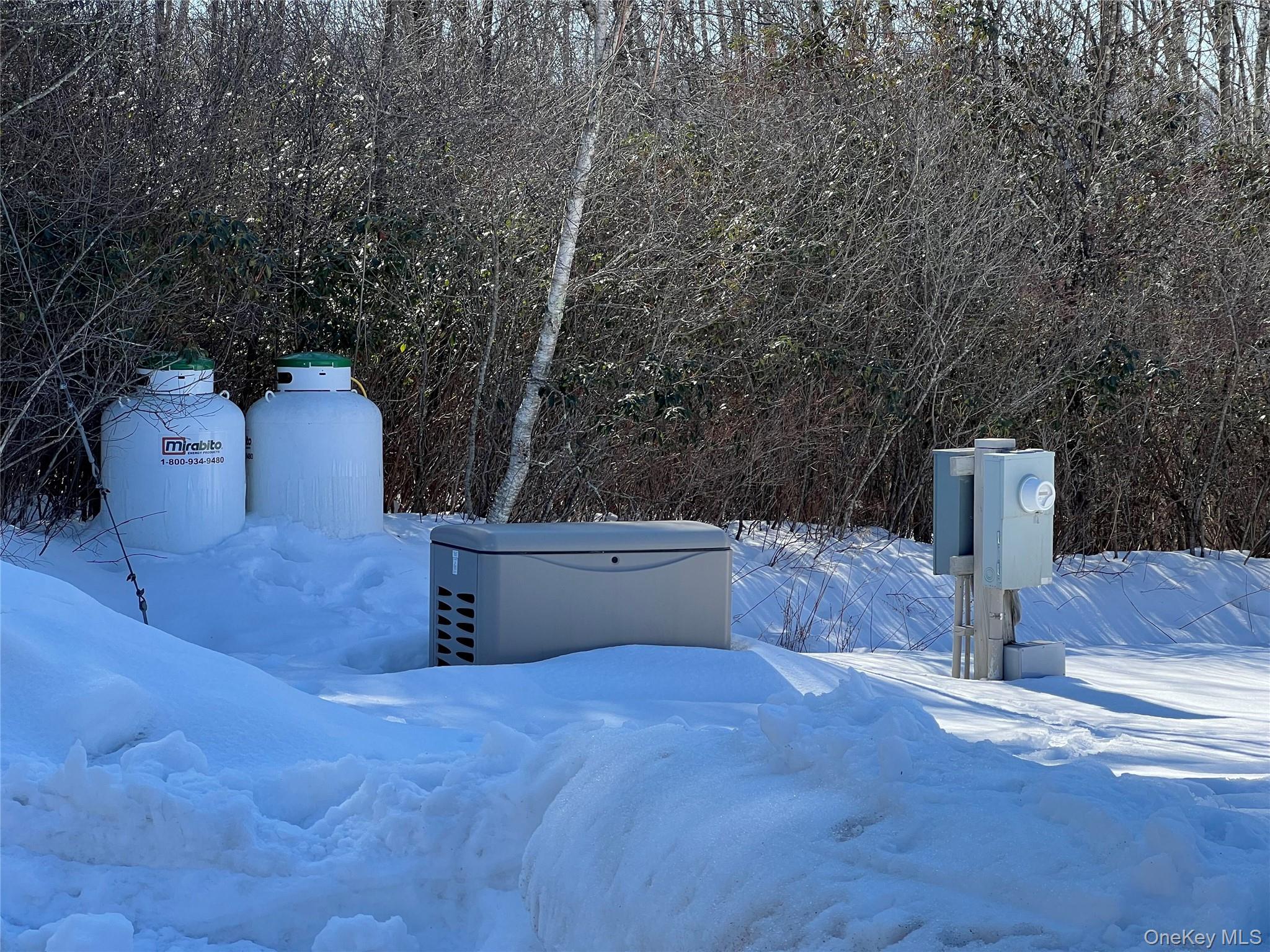 71 Midway Road Liberty, NY 12758 - Photo 20 of 23 a view of a outdoor space