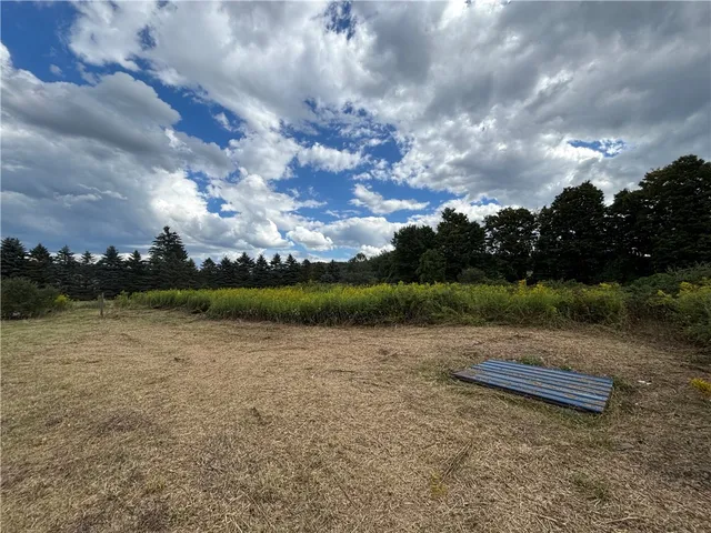 $65,000 | 1770 County Route 50, Arkport, NY 14807