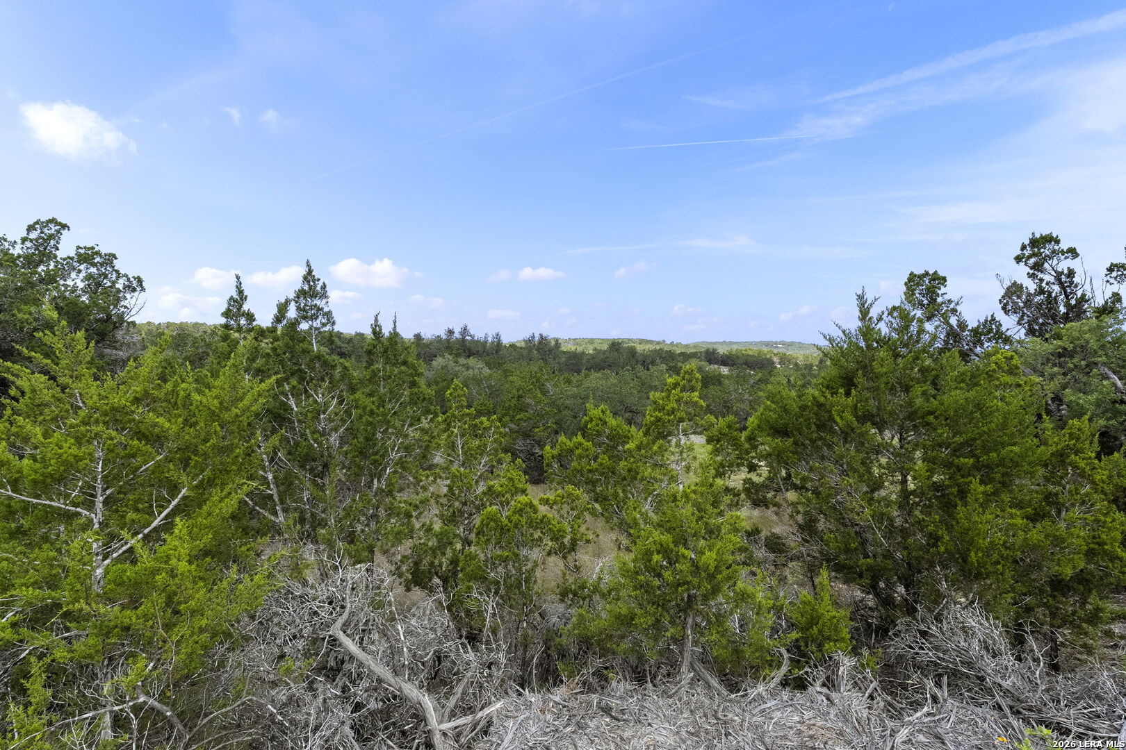 341 Mitchell Drive Spring Branch, TX 78070 - Photo 16 of 33