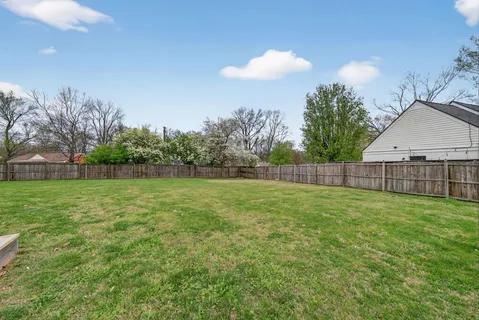 a view of a backyard