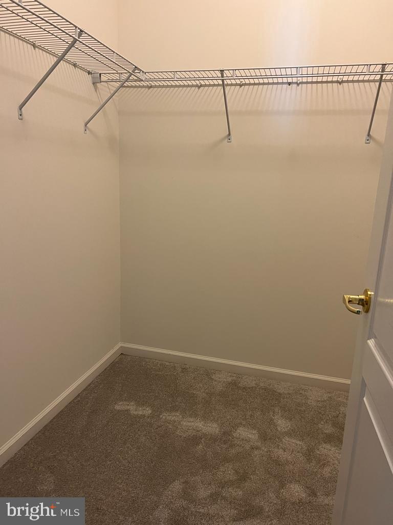 162 Field Loop Glassboro, NJ 08028 - Photo 6 of 15 Walking Closet